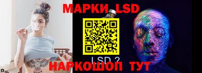 прущие грибы Будённовск