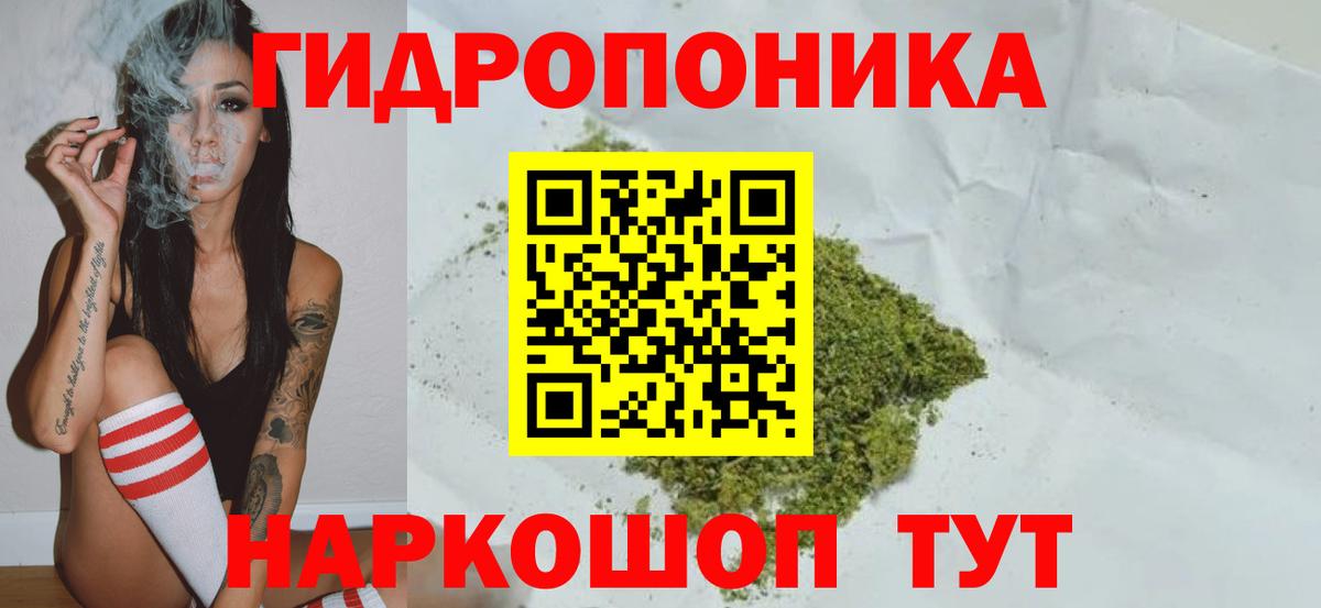 Каннабис план  МАРИХУАНА сатива  Берёзовский  Вход с VPN 
